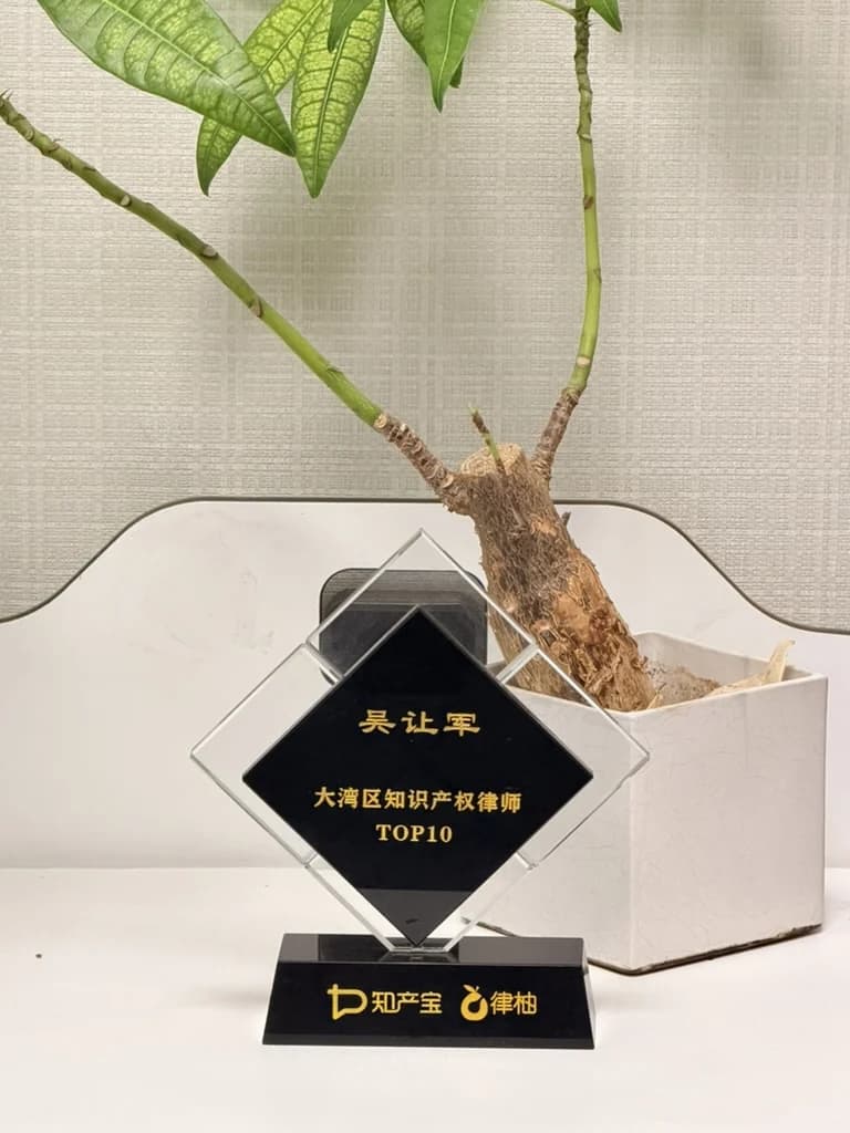 大湾区知识产权律师TOP10奖杯